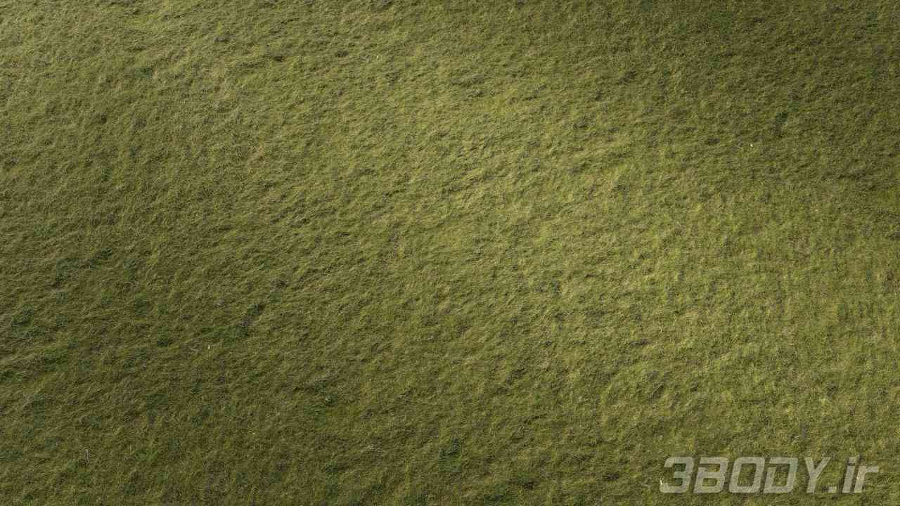 متریال چمن grass lawn عکس 1